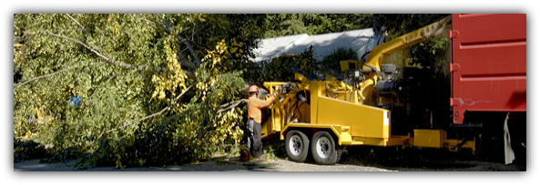 Sebastian Tree Service Home